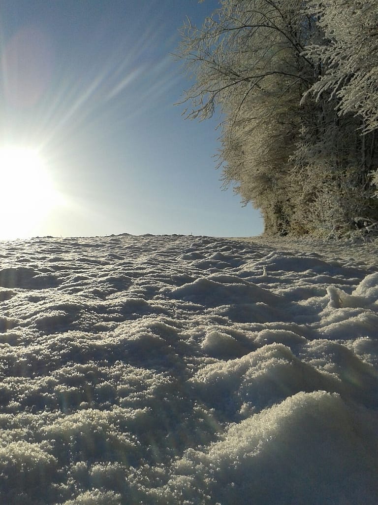 Keine Fahrt Der Weg nach oben beim Schlitteln