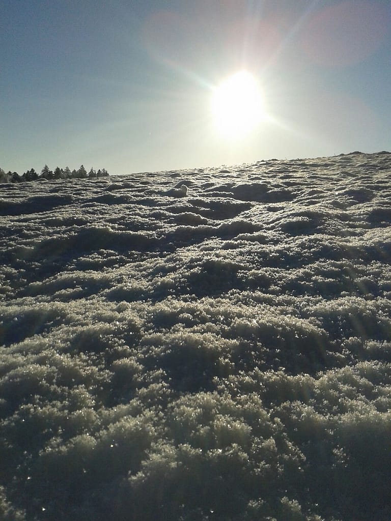 Keine Fahrt Wunderschönes Sonnenwetter