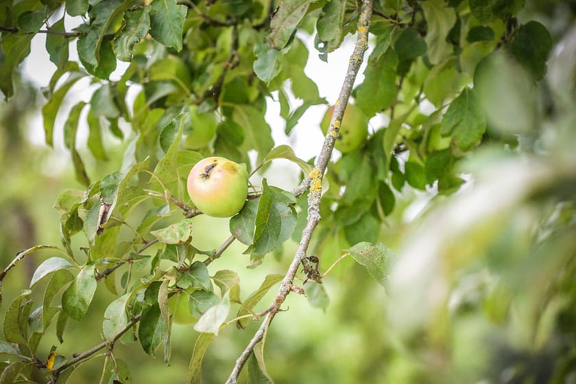 Eindrücke vom Bodensee Radmarathon