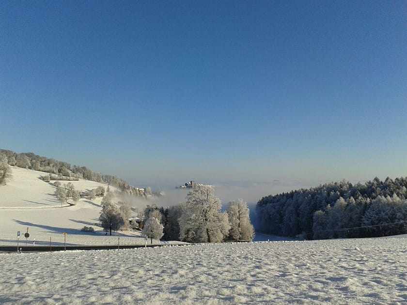 Keine Fahrt Regensberg-Burg